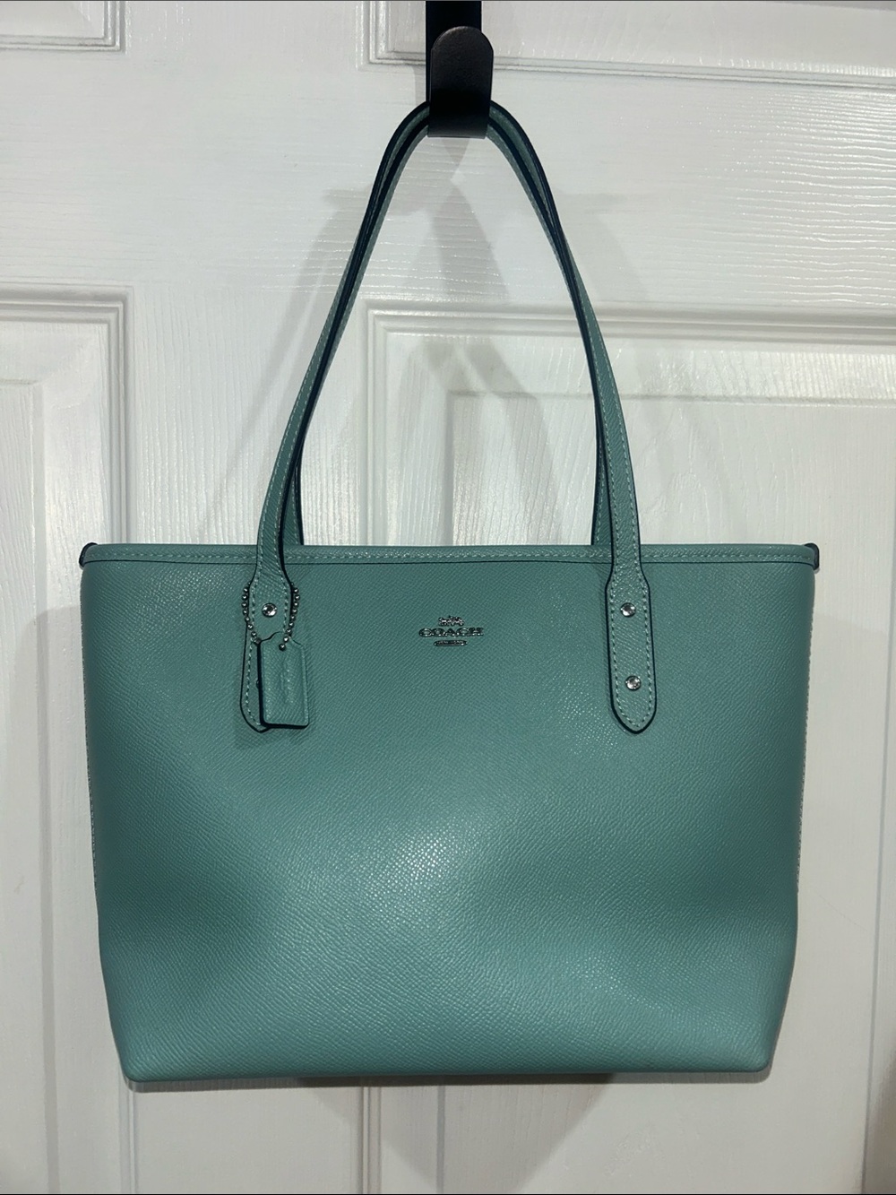Coach mini zip bag- 22967 aquamarine color